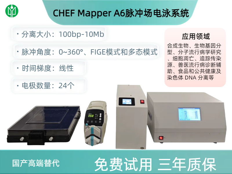CHEF Mapper A6脈沖場電泳系統.png