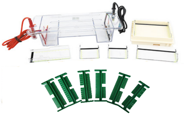 MIDI Multi-purpose Horizontal Electrophoresis Tank EPT-HZ01